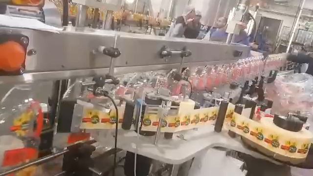 Конвейерное оборудование из Ирана полного цикла