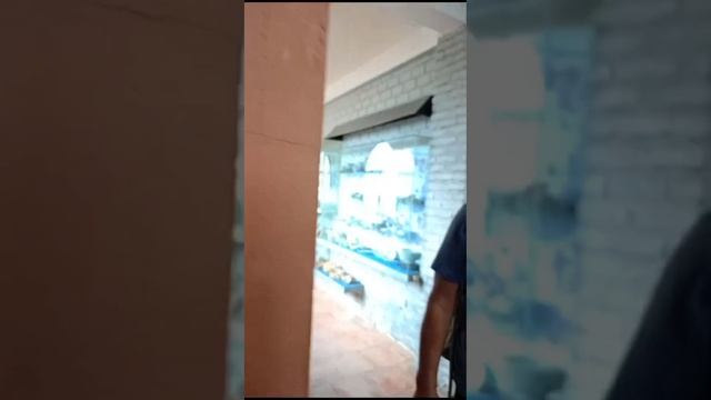 Музей Coi Nguon: краеведческий музей Фукуока