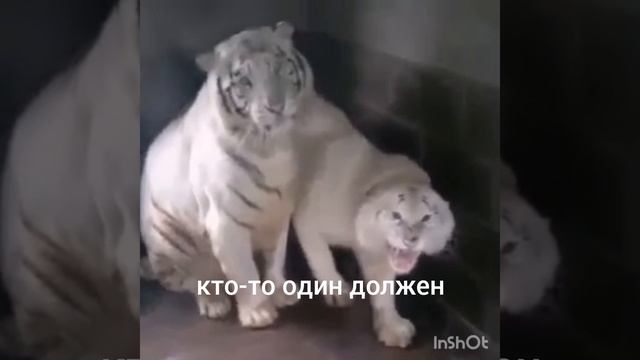 отношения