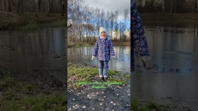 Экоплакат  Шолохова Кира го Солнечногорск