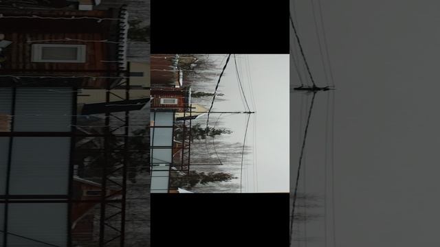 VID_20241227_145217