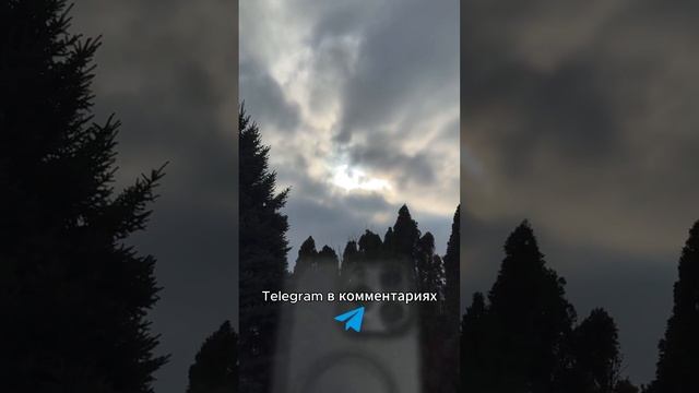 Николай Василенко открыл секрет к счастью и успеху! #мояжизнь