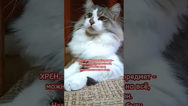 ВЕЛИКИЙ И МОГУЧИЙ НАШ ЯЗЫК😁
