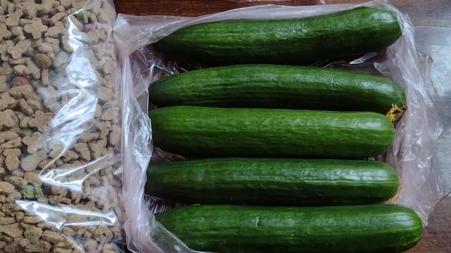 Обзор покупок на 150 грн (29.08.23)