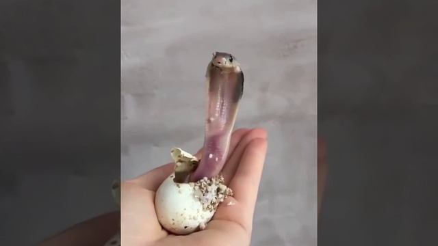 b71aea38e220a2f2c350da0def14b5b7