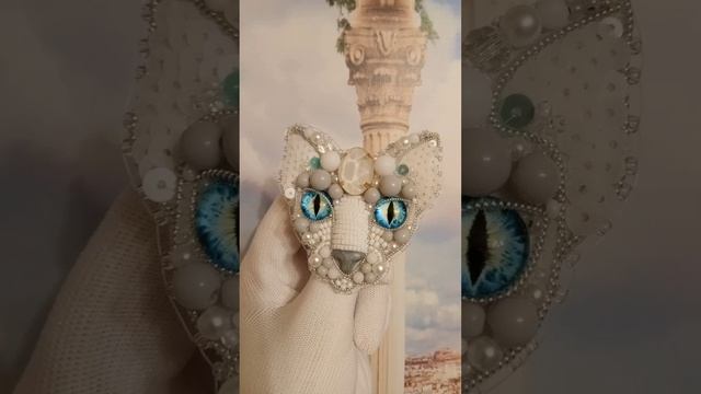 1000022801.mp4