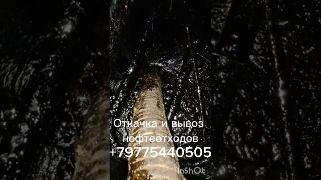 Откачка нефтешлама по центральной России  . утилизация Нефтепродуктов.