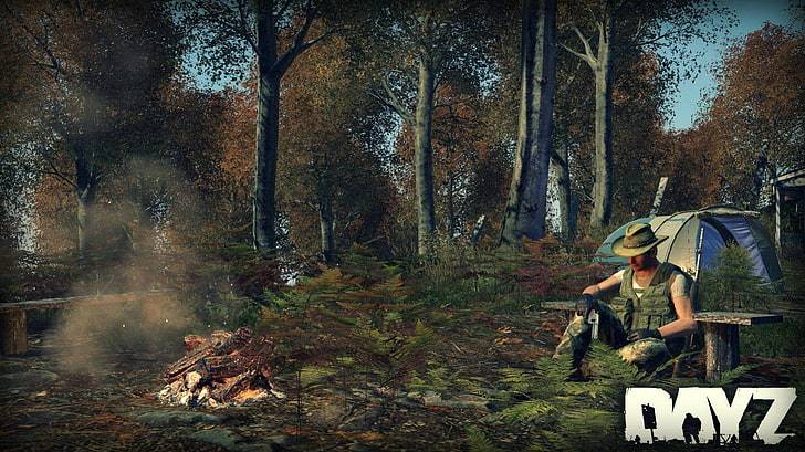 dayz