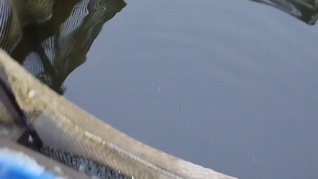 1000023777.mp4