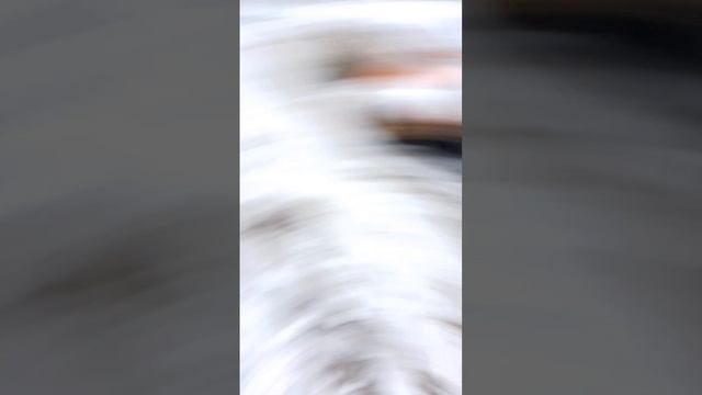 scene_output.mp4