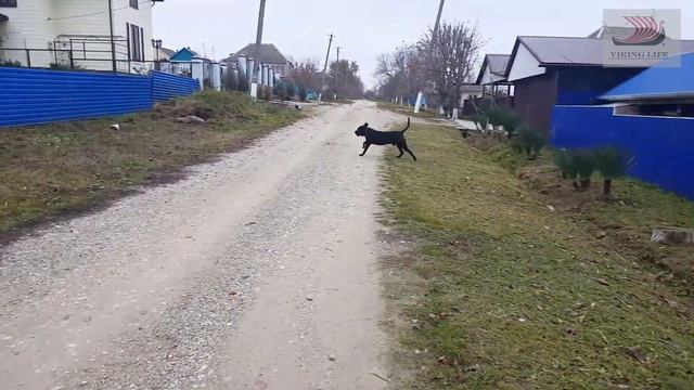 #131 Жизнь в деревне, не для слабаков.