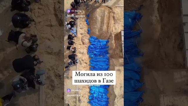 Палестина прямо сейчас.