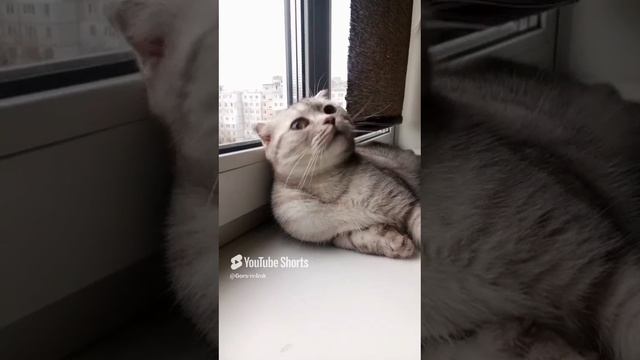 28 ноября 2024 г..mp4
