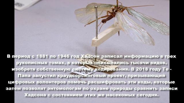 Джордж Вернон Хадсон