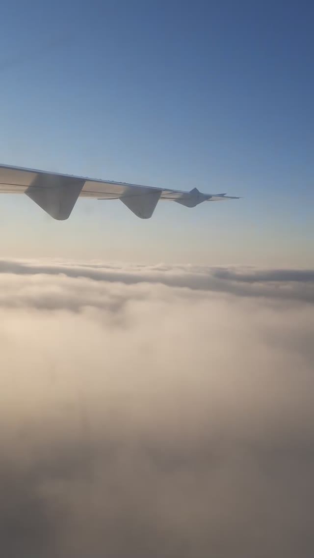 Посадка самолёта ✈️