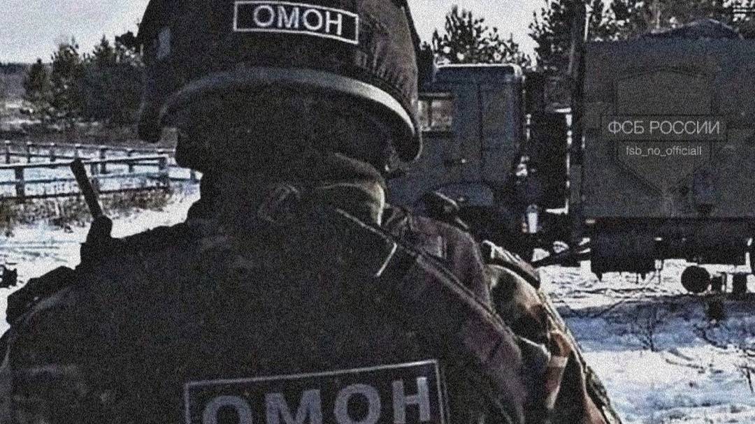 дубинка 2