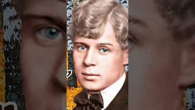 Жириновский Надо сажать!