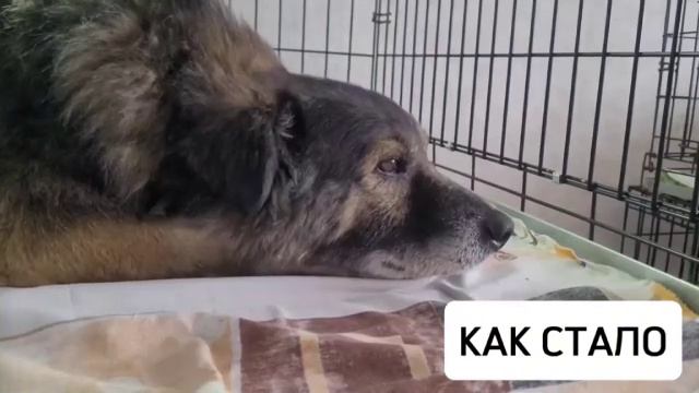 video_2024-12-27_16-09-18