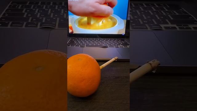 Тлен и боль