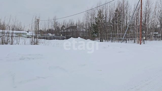 3954743 Витамин