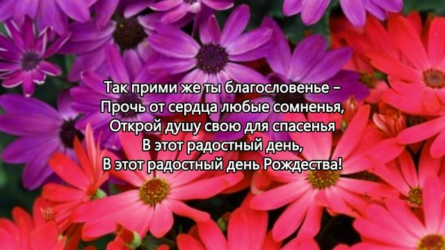 В Вифлиеме Младенец родился