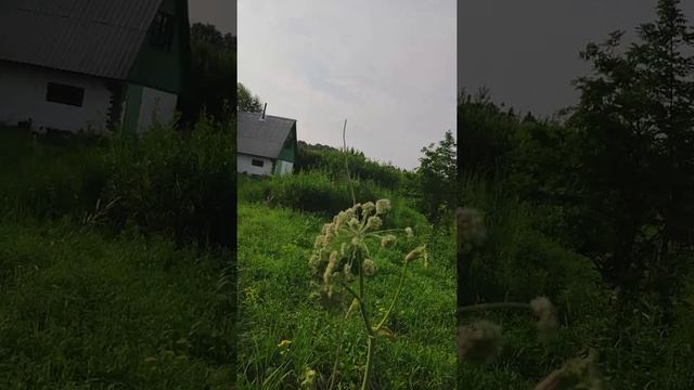 2021 год, начало 1