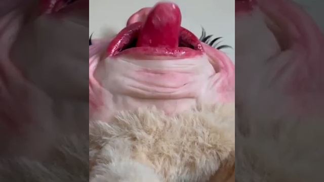 Зайщик