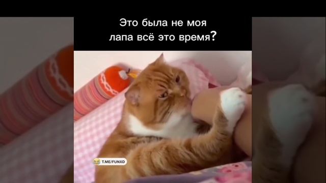 Перепутал