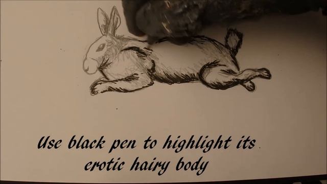 Drawing Lessons with Tugly - Horny Rabbit