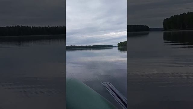 р. Десна Десногорское водохранилище