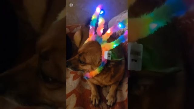 эстетика юты и тойки