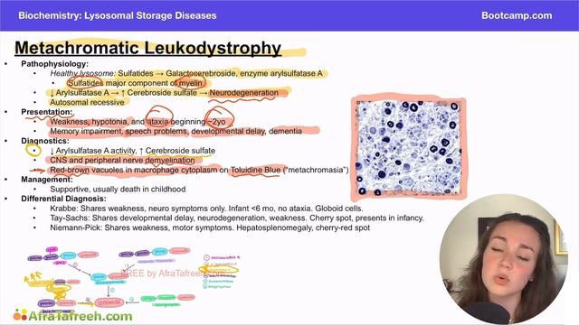 Metachromatic Leukodystrophy atf