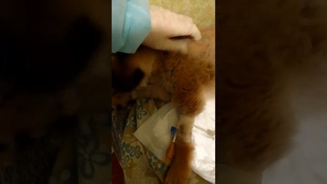 Борьба Кая и Гарды продолжается