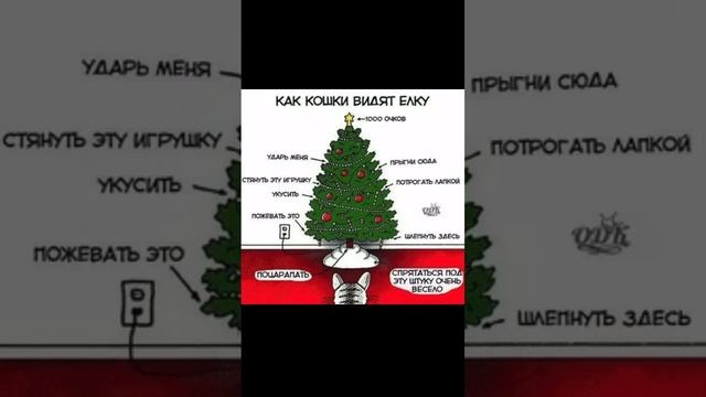 ScreenRecording_12-27-2024 09-1_5