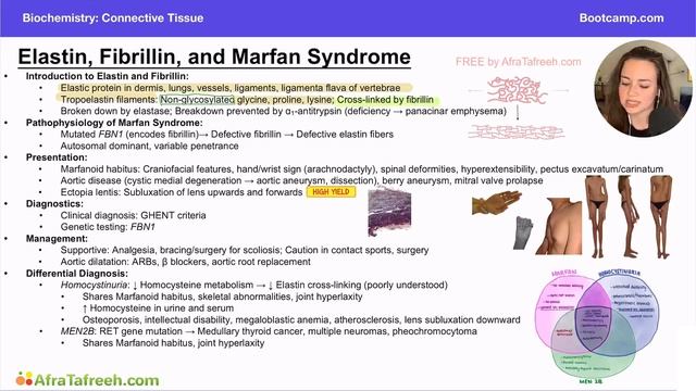 Elastin and Fibrillin atf