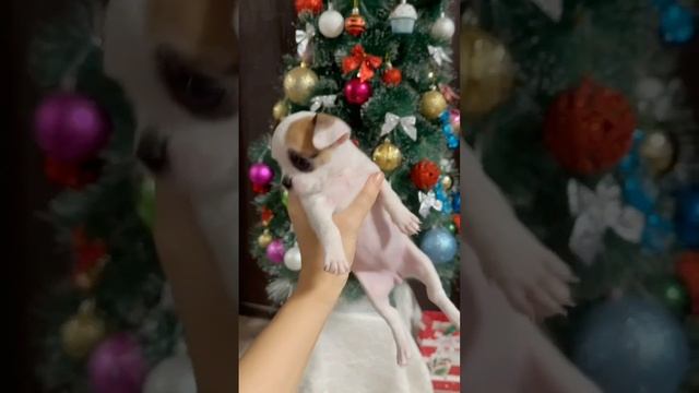 1000109131.mp4