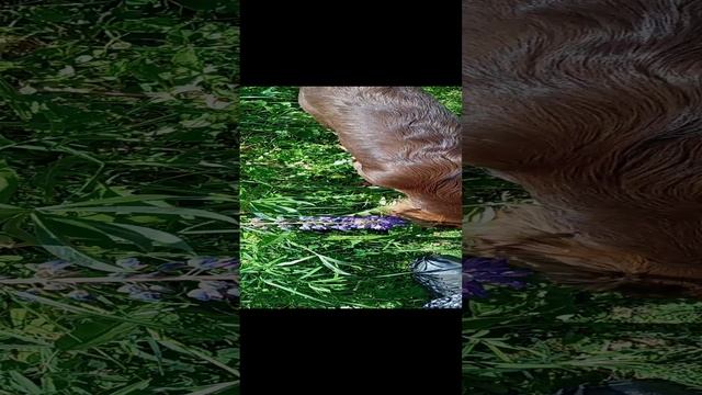 1000004532.mp4