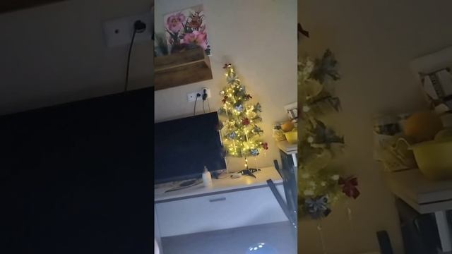 Скоро новый год. Галина купила ёлочку.