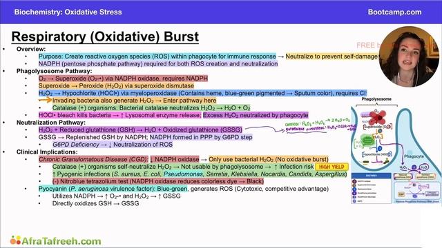 Respiratory (Oxidative) Burst Clinical Implications atf