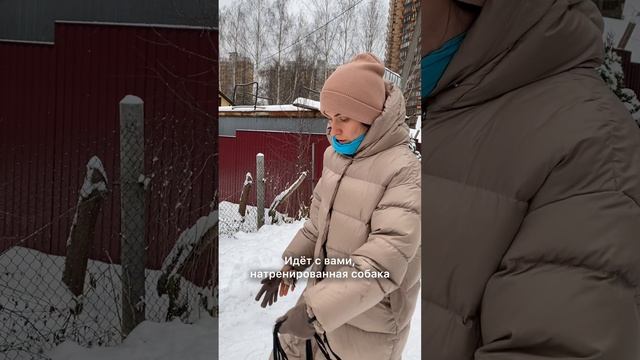 Главная причина почему поводок лучше рулетки