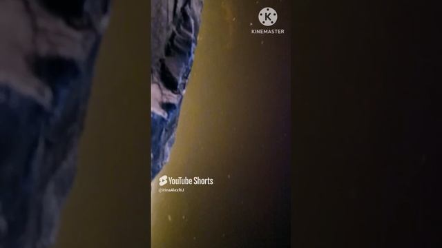 Приучил рыбу подплывать на кормежку по звуку колокольчика