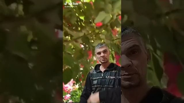 1000004173.mp4