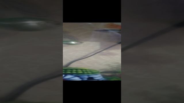 1000007149.mp4