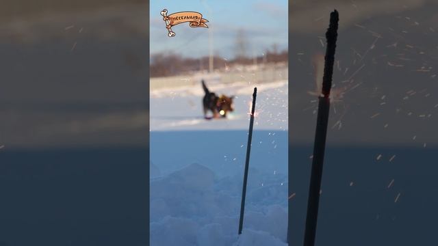 Скоро всё случится!