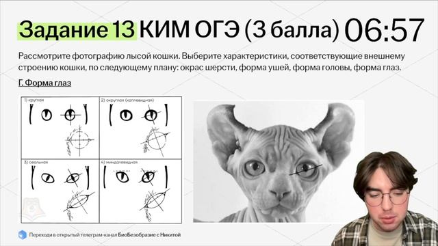 Спидран 1 части реального ОГЭ по биологии | Умскул