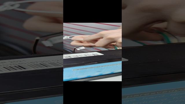 VID_20241227_132910.mp4