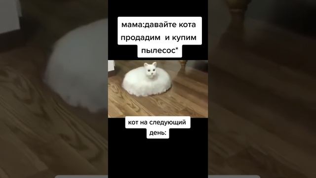 a9343d8d7d8f42f99d9aa854bef97bd4