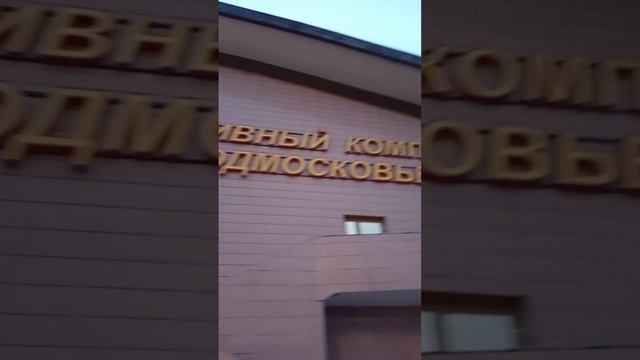 scene_output.mp4