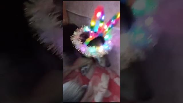 эстетик Юта идёт на вечеринку❄💅