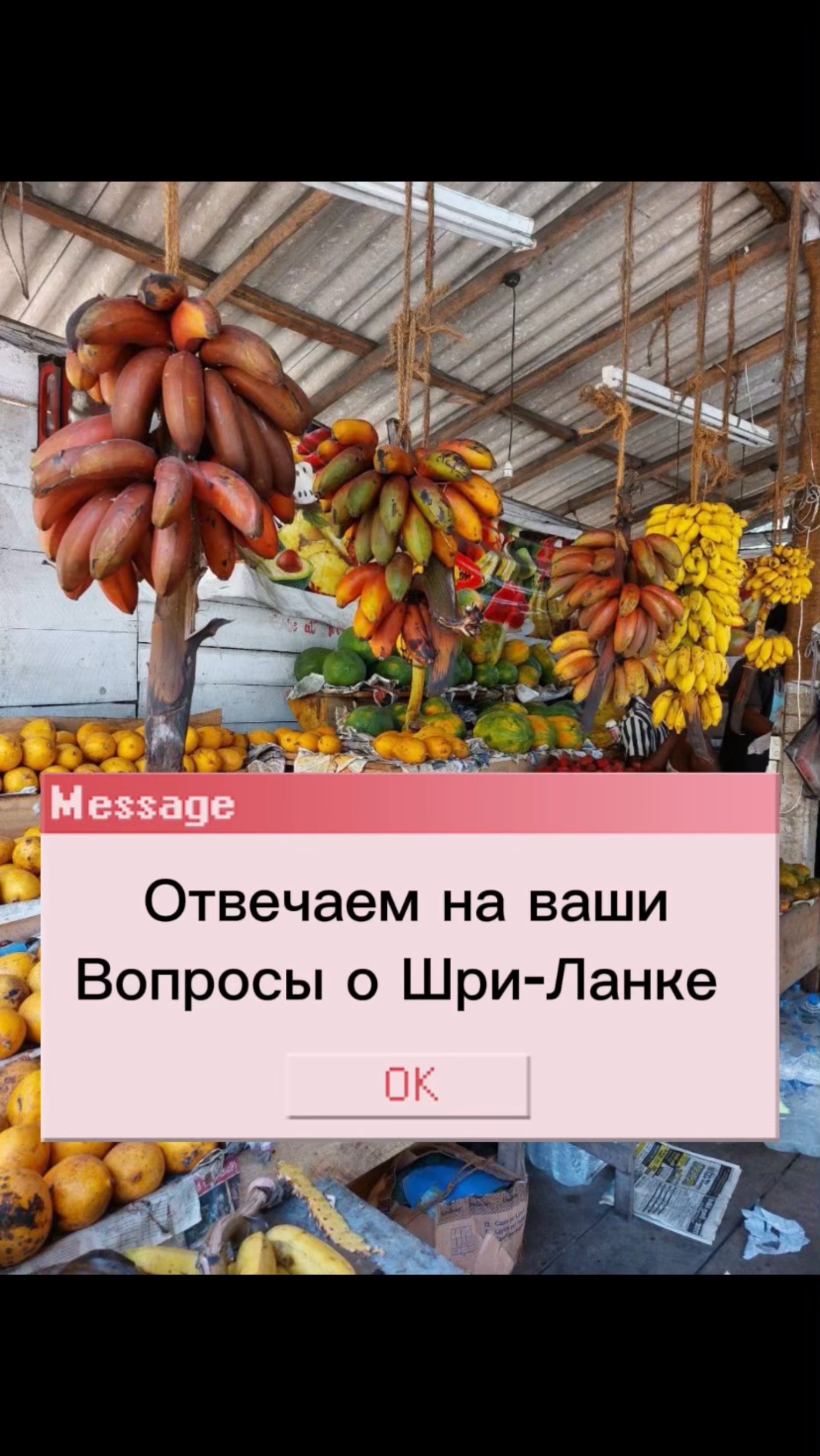 Полезное о Шри-Ланке